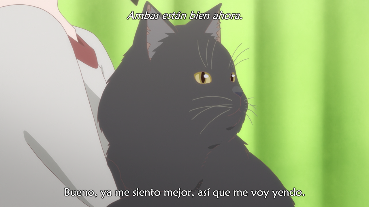 Kanojo to Kanojo no Neko: Everything Flows (Ñyuum)